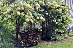 33671 Woodmont Ridge Dr, New Carlisle, IN 46552 - Photo 31