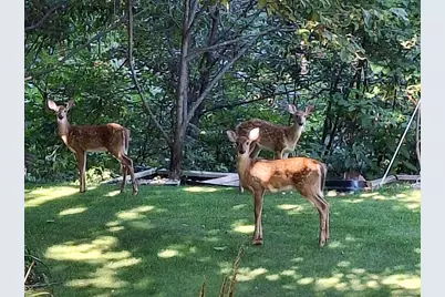 33671 Woodmont Ridge Drive, New Carlisle, IN 46552 - Photo 45