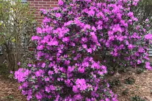 1612 Richards St, La Porte, IN 46350 - Photo 3