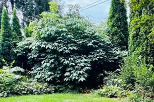 1612 Richards St, La Porte, IN 46350 - Photo 41