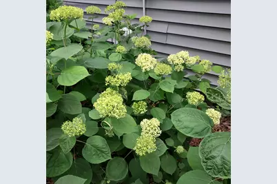 1612 Richards Street, La Porte, IN 46350 - Photo 35