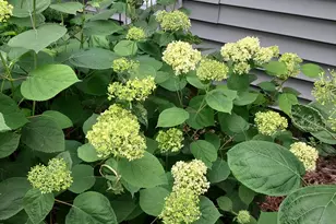 1612 Richards St, La Porte, IN 46350 - Photo 35