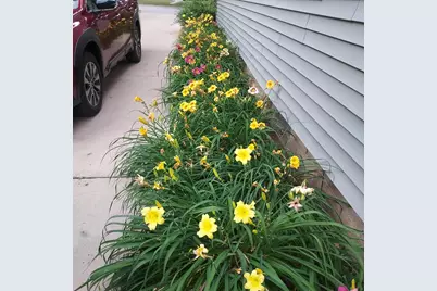 1612 Richards Street, La Porte, IN 46350 - Photo 39