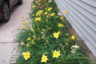 1612 Richards St, La Porte, IN 46350 - Photo 39