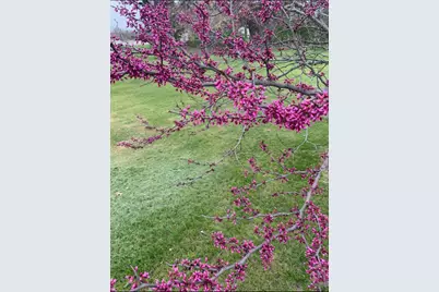 2645 E 525 S, Knox, IN 46534 - Photo 29