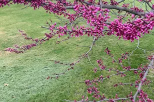 2645 E 525 S, Knox, IN 46534 - Photo 29