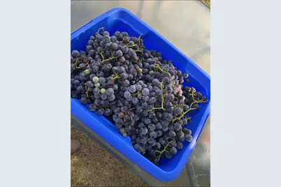 2645 E 525 S, Knox, IN 46534 - Photo 33