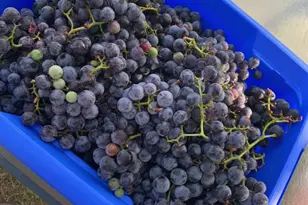 2645 E 525 S, Knox, IN 46534 - Photo 33