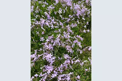 2645 E 525 S, Knox, IN 46534 - Photo 31