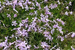 2645 E 525 S, Knox, IN 46534 - Photo 31