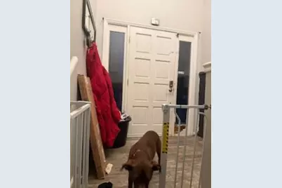 8999 Woodland Drive, Newburgh, IN 47630 - Photo 17