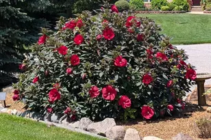 320 Kenbridge Ct, Valparaiso, IN 46385 - Photo 47