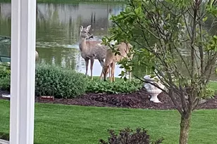 817 Mary Ellen Dr, Crown Point, IN 46307 - Photo 3