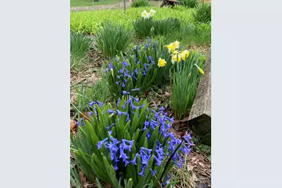 11709 Belshaw Road, Lowell, IN 46356 - Photo 73