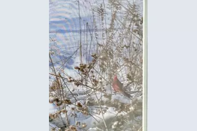 11709 Belshaw Road, Lowell, IN 46356 - Photo 75