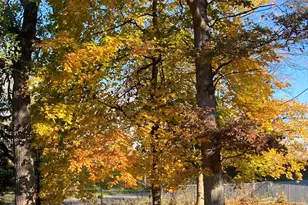 11709 Belshaw Rd, Lowell, IN 46356 - Photo 59