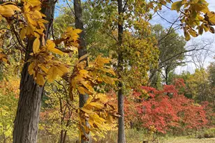 11709 Belshaw Rd, Lowell, IN 46356 - Photo 65