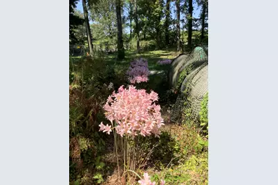 11709 Belshaw Road, Lowell, IN 46356 - Photo 77