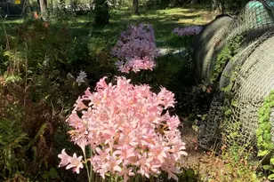 11709 Belshaw Rd, Lowell, IN 46356 - Photo 77