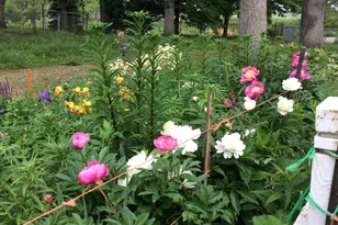 11709 Belshaw Rd, Lowell, IN 46356 - Photo 69