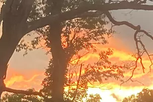 11709 Belshaw Rd, Lowell, IN 46356 - Photo 61