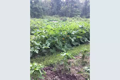 11709 Belshaw Road, Lowell, IN 46356 - Photo 63