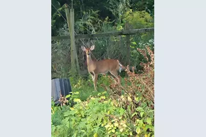 11709 Belshaw Road, Lowell, IN 46356 - Photo 71