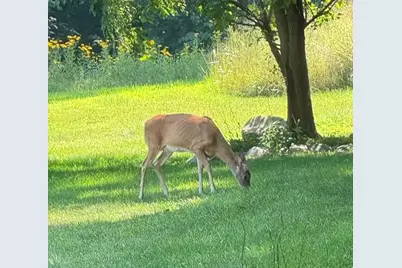 2688 N Goldring Road, La Porte, IN 46350 - Photo 41