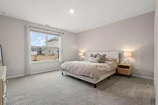 14130 Heritage Way, Cedar Lake, IN 46303 - Photo 15