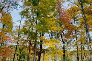 10290 Old Grand Beach Rd, Michigan City, IN 46360 - Photo 37