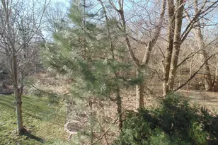 8508 Pine Ave, Gary, IN 46403 - Photo 61