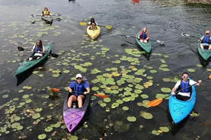 7325 Locust Ave, Gary, IN 46403 - Photo 47