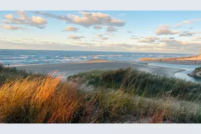 7325 Locust Avenue, Gary, IN 46403 - Photo 43