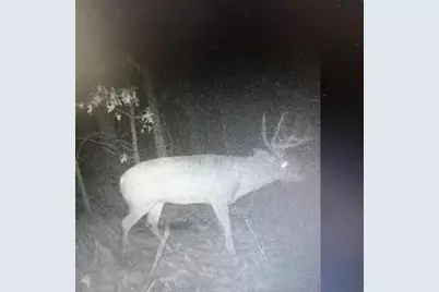 8155 S US 421, San Pierre, IN 46374 - Photo 39