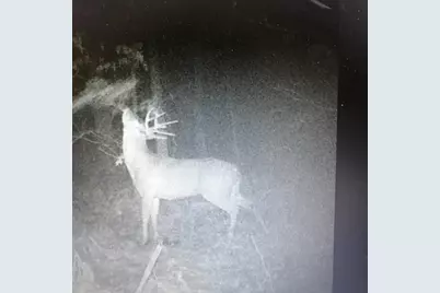 8155 S US 421, San Pierre, IN 46374 - Photo 37