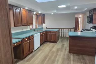 11819 Wicker Ave, Cedar Lake, IN 46303 - Photo 7