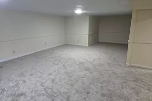 11819 Wicker Ave, Cedar Lake, IN 46303 - Photo 19