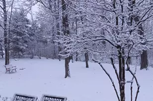 3048 Brampton Ln, Dyer, IN 46311 - Photo 53