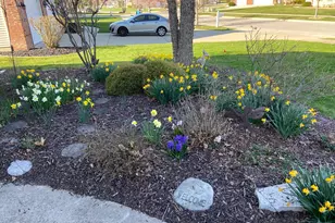 1144 Mary Ellen Dr, Crown Point, IN 46307 - Photo 5