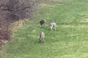 490 W US Hwy 30, Valparaiso, IN 46385 - Photo 27