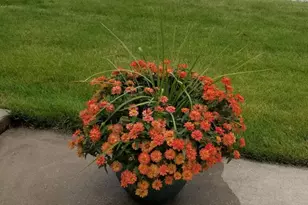 1699 Lincoln St, Hobart, IN 46342 - Photo 17