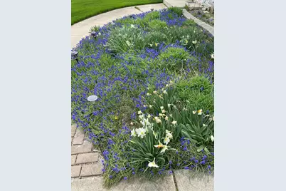 12632 Patnoe Drive, Saint John, IN 46373 - Photo 29