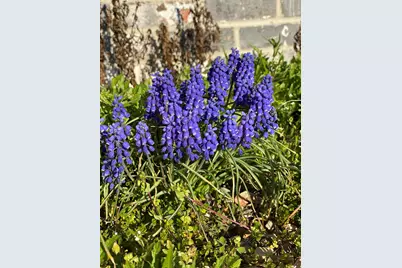 12632 Patnoe Drive, Saint John, IN 46373 - Photo 31