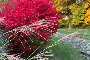 273 Bridlewood Ln, Valparaiso, IN 46385 - Photo 89