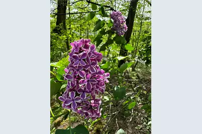 273 Bridlewood Lane, Valparaiso, IN 46385 - Photo 87