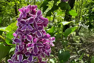 273 Bridlewood Ln, Valparaiso, IN 46385 - Photo 87