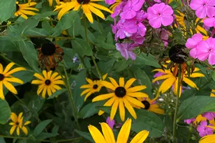 273 Bridlewood Ln, Valparaiso, IN 46385 - Photo 91