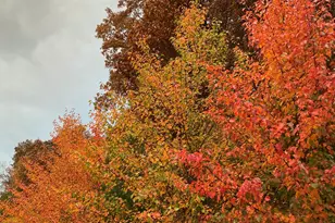 273 Bridlewood Ln, Valparaiso, IN 46385 - Photo 93