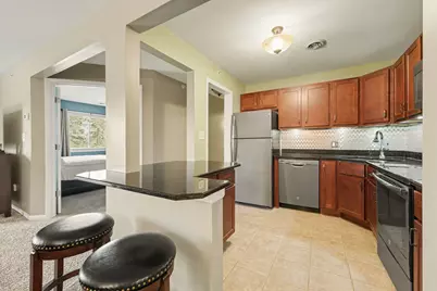 205 W Joliet Street #206, Schererville, IN 46375 - Photo 3