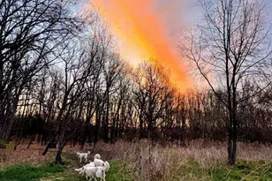 15752 W 400 N, Medaryville, IN 47957 - Photo 47